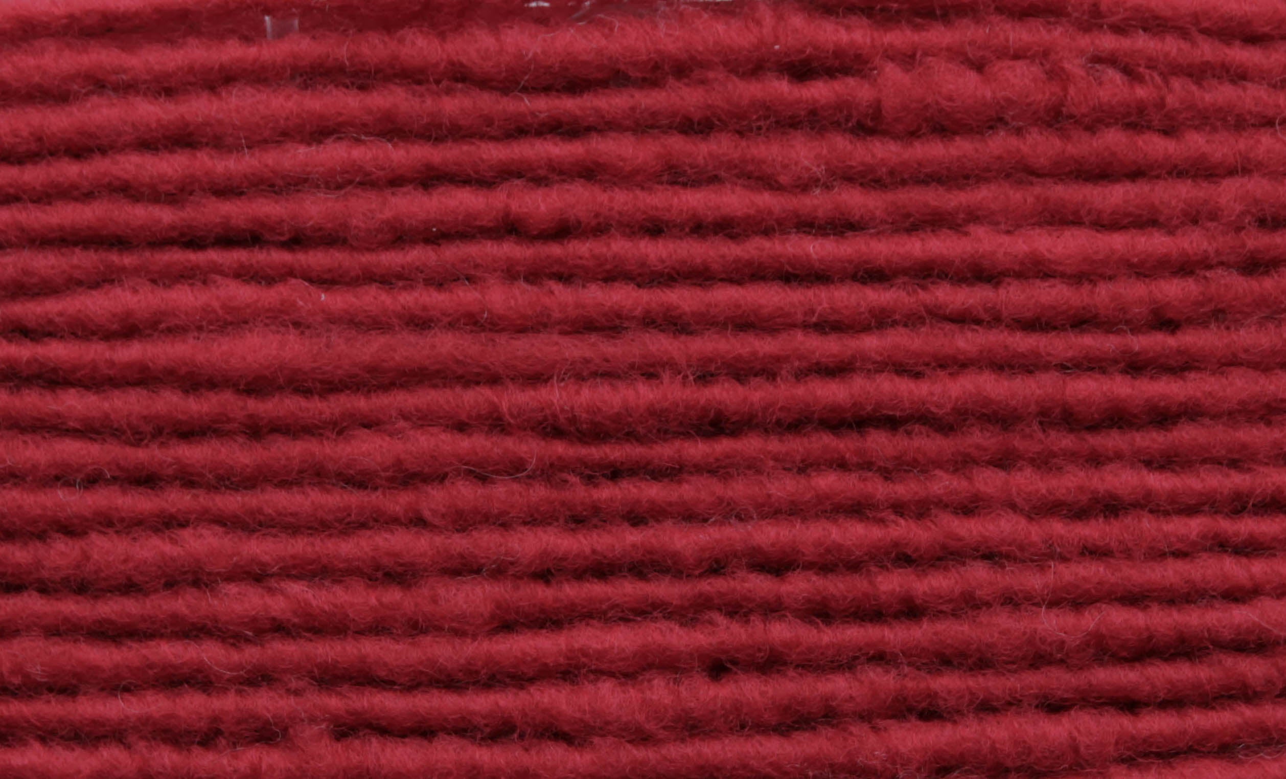Rot