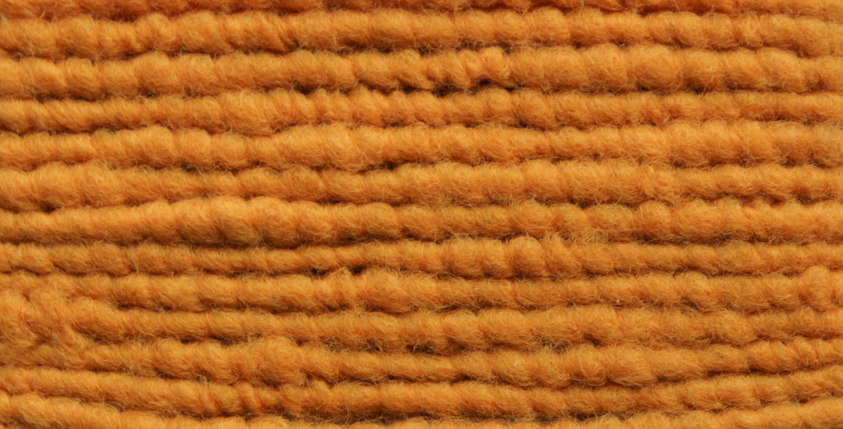 Kürbis