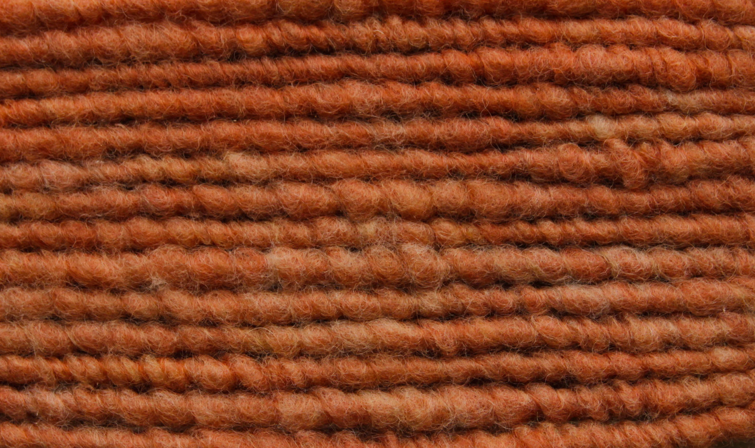 Terra 8