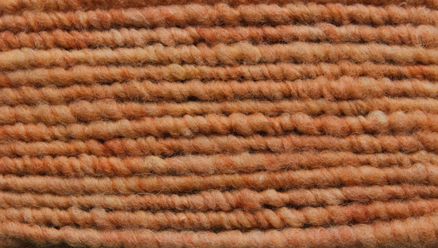 Terra 7