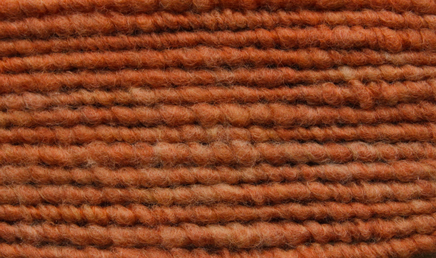 Terra 8